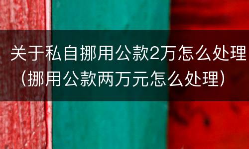 关于私自挪用公款2万怎么处理（挪用公款两万元怎么处理）