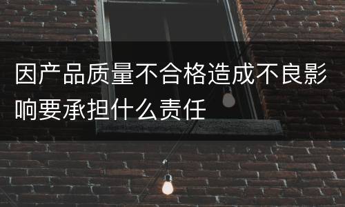 因产品质量不合格造成不良影响要承担什么责任