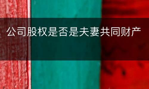 公司股权是否是夫妻共同财产