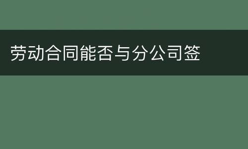 劳动合同能否与分公司签
