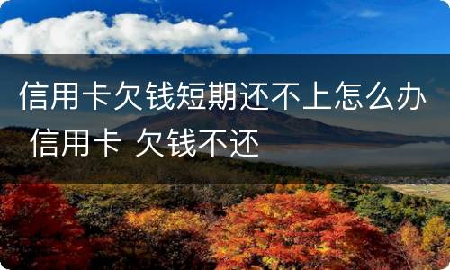 信用卡欠钱短期还不上怎么办 信用卡 欠钱不还