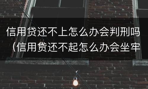 信用贷还不上怎么办会判刑吗（信用贷还不起怎么办会坐牢吗）