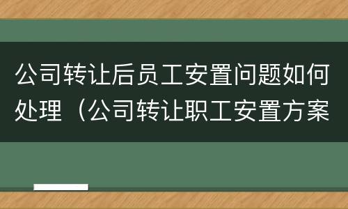 公司转让后员工安置问题如何处理（公司转让职工安置方案）