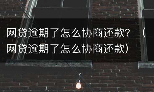 网贷逾期了怎么协商还款？（网贷逾期了怎么协商还款）