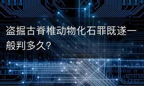 盗掘古脊椎动物化石罪既遂一般判多久？