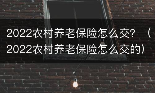 2022农村养老保险怎么交？（2022农村养老保险怎么交的）