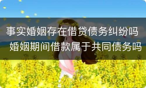 事实婚姻存在借贷债务纠纷吗 婚姻期间借款属于共同债务吗