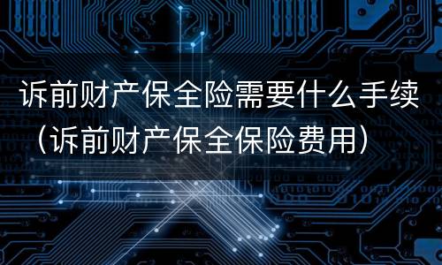 诉前财产保全险需要什么手续（诉前财产保全保险费用）