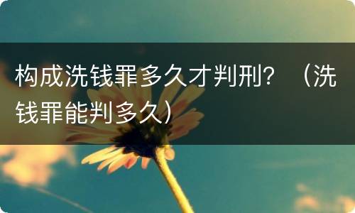 构成洗钱罪多久才判刑？（洗钱罪能判多久）