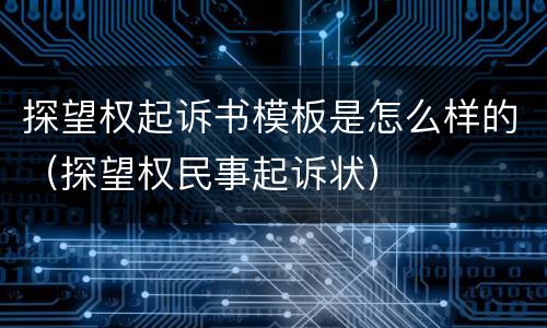探望权起诉书模板是怎么样的（探望权民事起诉状）
