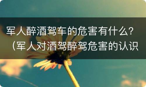 军人醉酒驾车的危害有什么？（军人对酒驾醉驾危害的认识）