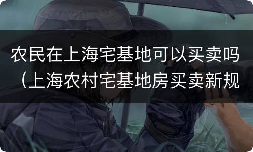 农民在上海宅基地可以买卖吗（上海农村宅基地房买卖新规）