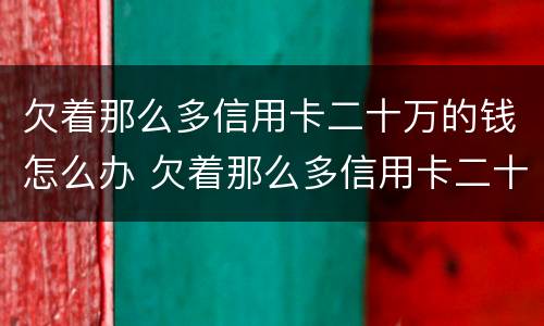 欠着那么多信用卡二十万的钱怎么办 欠着那么多信用卡二十万的钱怎么办