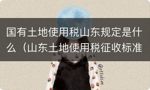 国有土地使用税山东规定是什么（山东土地使用税征收标准）