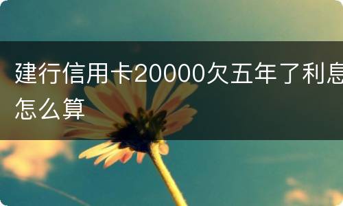 建行信用卡20000欠五年了利息怎么算