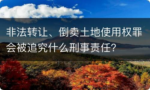 非法转让、倒卖土地使用权罪会被追究什么刑事责任？