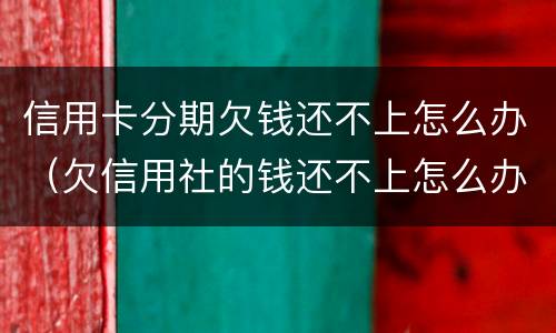 信用卡分期欠钱还不上怎么办（欠信用社的钱还不上怎么办可以分期还吗）