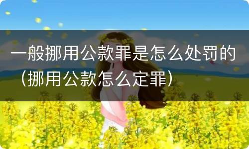 一般挪用公款罪是怎么处罚的（挪用公款怎么定罪）