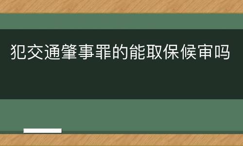 犯交通肇事罪的能取保候审吗