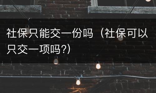 社保只能交一份吗（社保可以只交一项吗?）