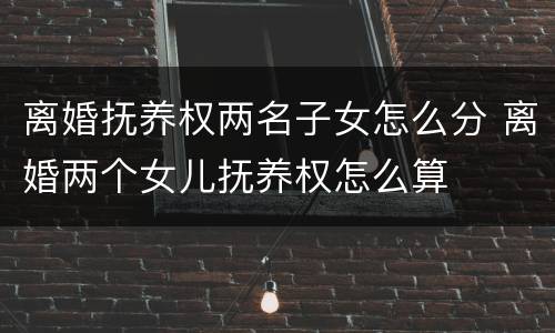离婚抚养权两名子女怎么分 离婚两个女儿抚养权怎么算