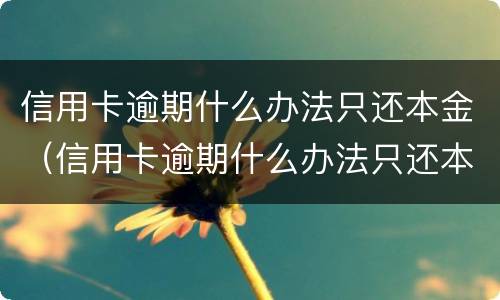 信用卡逾期什么办法只还本金（信用卡逾期什么办法只还本金不还利息）