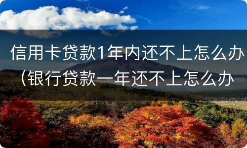信用卡贷款1年内还不上怎么办（银行贷款一年还不上怎么办）