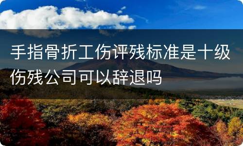 手指骨折工伤评残标准是十级伤残公司可以辞退吗