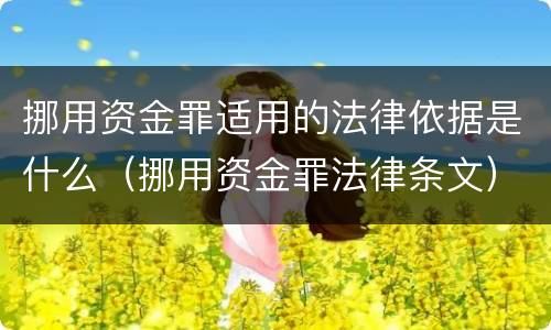 挪用资金罪适用的法律依据是什么（挪用资金罪法律条文）