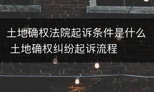 土地确权法院起诉条件是什么 土地确权纠纷起诉流程