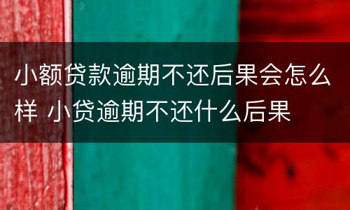 小额贷款逾期不还后果会怎么样 小贷逾期不还什么后果