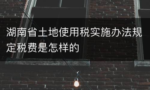 湖南省土地使用税实施办法规定税费是怎样的