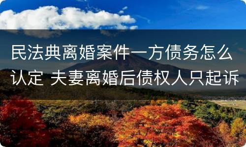 民法典离婚案件一方债务怎么认定 夫妻离婚后债权人只起诉一方