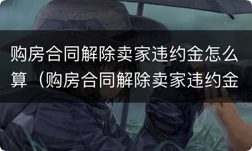购房合同解除卖家违约金怎么算（购房合同解除卖家违约金怎么算的）