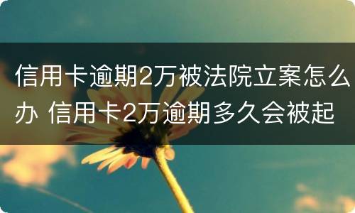 信用卡逾期2万被法院立案怎么办 信用卡2万逾期多久会被起诉