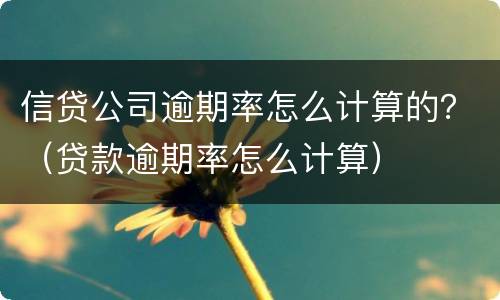 信贷公司逾期率怎么计算的？（贷款逾期率怎么计算）