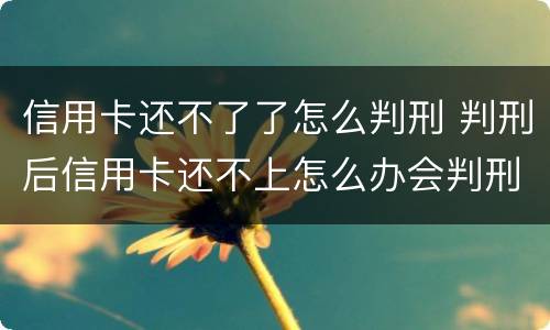 信用卡还不了了怎么判刑 判刑后信用卡还不上怎么办会判刑吗
