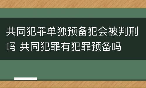 共同犯罪单独预备犯会被判刑吗 共同犯罪有犯罪预备吗