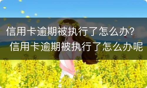 信用卡逾期被执行了怎么办？ 信用卡逾期被执行了怎么办呢