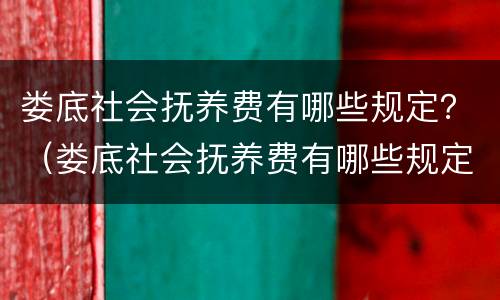 娄底社会抚养费有哪些规定？（娄底社会抚养费有哪些规定发放）