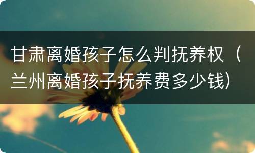 甘肃离婚孩子怎么判抚养权（兰州离婚孩子抚养费多少钱）