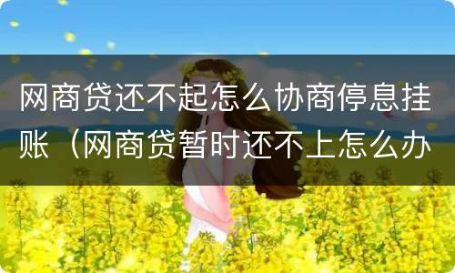 网商贷还不起怎么协商停息挂账（网商贷暂时还不上怎么办,协商不了怎么办）