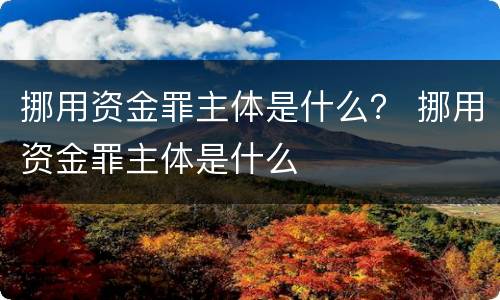 挪用资金罪主体是什么？ 挪用资金罪主体是什么
