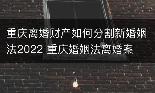 重庆离婚财产如何分割新婚姻法2022 重庆婚姻法离婚案
