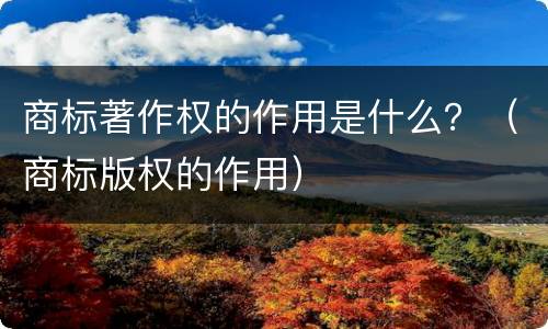 商标著作权的作用是什么？（商标版权的作用）