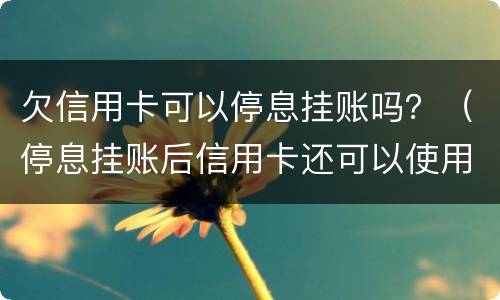 欠信用卡可以停息挂账吗？（停息挂账后信用卡还可以使用吗）
