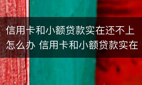信用卡和小额贷款实在还不上怎么办 信用卡和小额贷款实在还不上怎么办呢