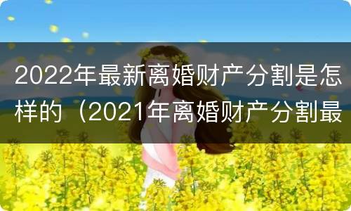 2022年最新离婚财产分割是怎样的（2021年离婚财产分割最新规定）