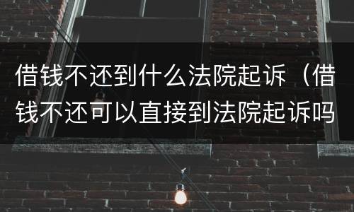 借钱不还到什么法院起诉（借钱不还可以直接到法院起诉吗）