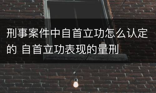 刑事案件中自首立功怎么认定的 自首立功表现的量刑